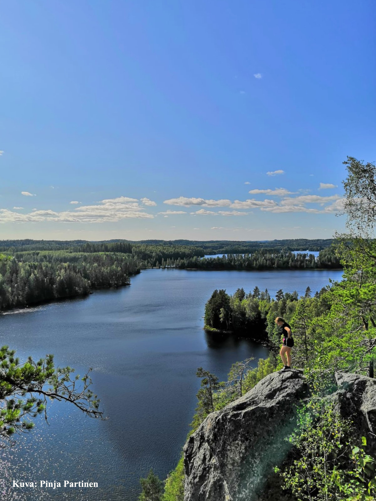 Haukkavuori