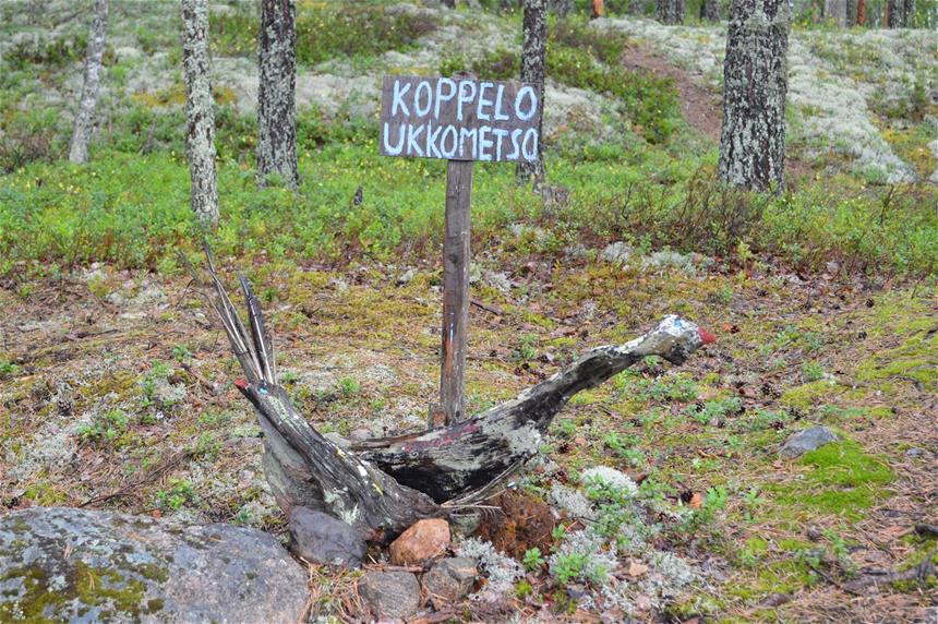 Koppelo-ukkometso -kyltti polun varrella