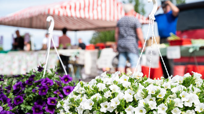 Flowers at Ruokolahti summer market