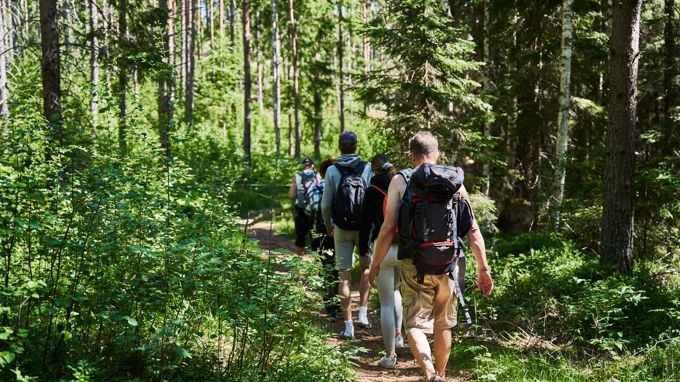 A group of people walking in the forest